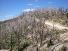 photo thumbnail #6