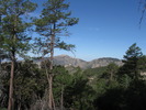 photo thumbnail #8