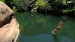 photo thumbnail #9