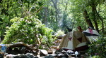 photo thumbnail #11