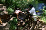 photo thumbnail #2