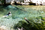 photo thumbnail #10