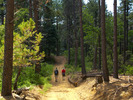 photo thumbnail #1