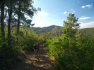 photo thumbnail #10