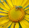 Featured Detail Photo
