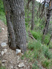 photo thumbnail #14