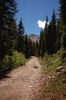 photo thumbnail #8