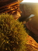 photo thumbnail #15