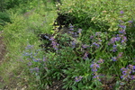 photo thumbnail #9