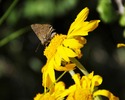photo thumbnail #5