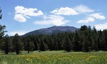 photo thumbnail #15