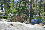 photo thumbnail #8