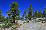 photo thumbnail #10