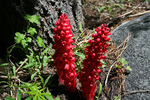 photo thumbnail #12