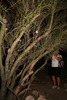 photo thumbnail #7