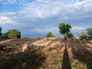 photo thumbnail #13