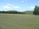 photo thumbnail #6