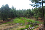 photo thumbnail #8