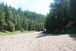 photo thumbnail #10