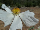 Featured Full Photo