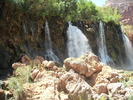 recent photo