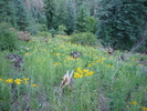 photo thumbnail #1