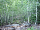 photo thumbnail #3
