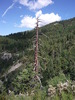 photo thumbnail #11