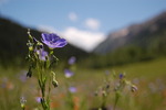 photo thumbnail #12