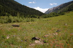 photo thumbnail #13