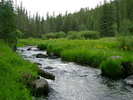 photo thumbnail #12