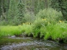 photo thumbnail #13