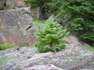 photo thumbnail #15