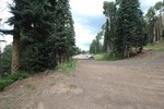 photo thumbnail #1