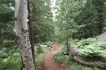 photo thumbnail #6