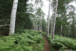 photo thumbnail #8