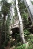 photo thumbnail #11