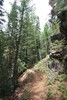 photo thumbnail #12