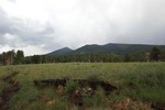 photo thumbnail #14