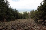 photo thumbnail #6