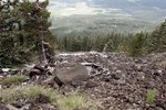 photo thumbnail #12