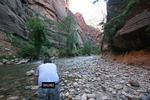 photo thumbnail #5