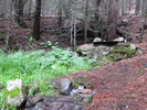 Featured Full Photo