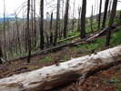 photo thumbnail #9