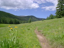 photo thumbnail #3