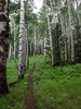 photo thumbnail #10