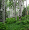 photo thumbnail #11