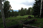 photo thumbnail #12