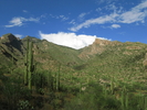 photo thumbnail #3