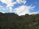 photo thumbnail #4